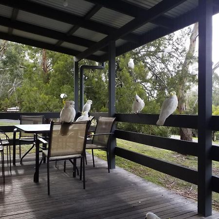 Cockatoo Cabin Halls Gap Exteriör bild
