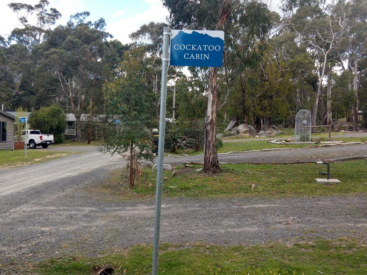 Cockatoo Cabin Halls Gap Exteriör bild